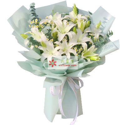 丽江6支白色多头百合，温馨的祝福