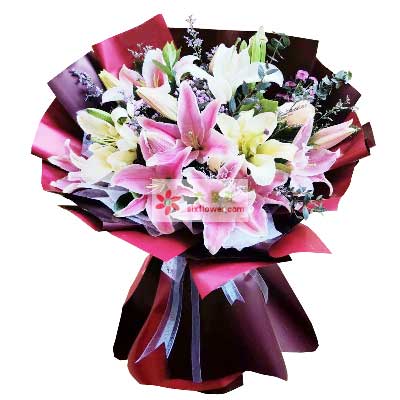 丽江8支百合花，天天开心